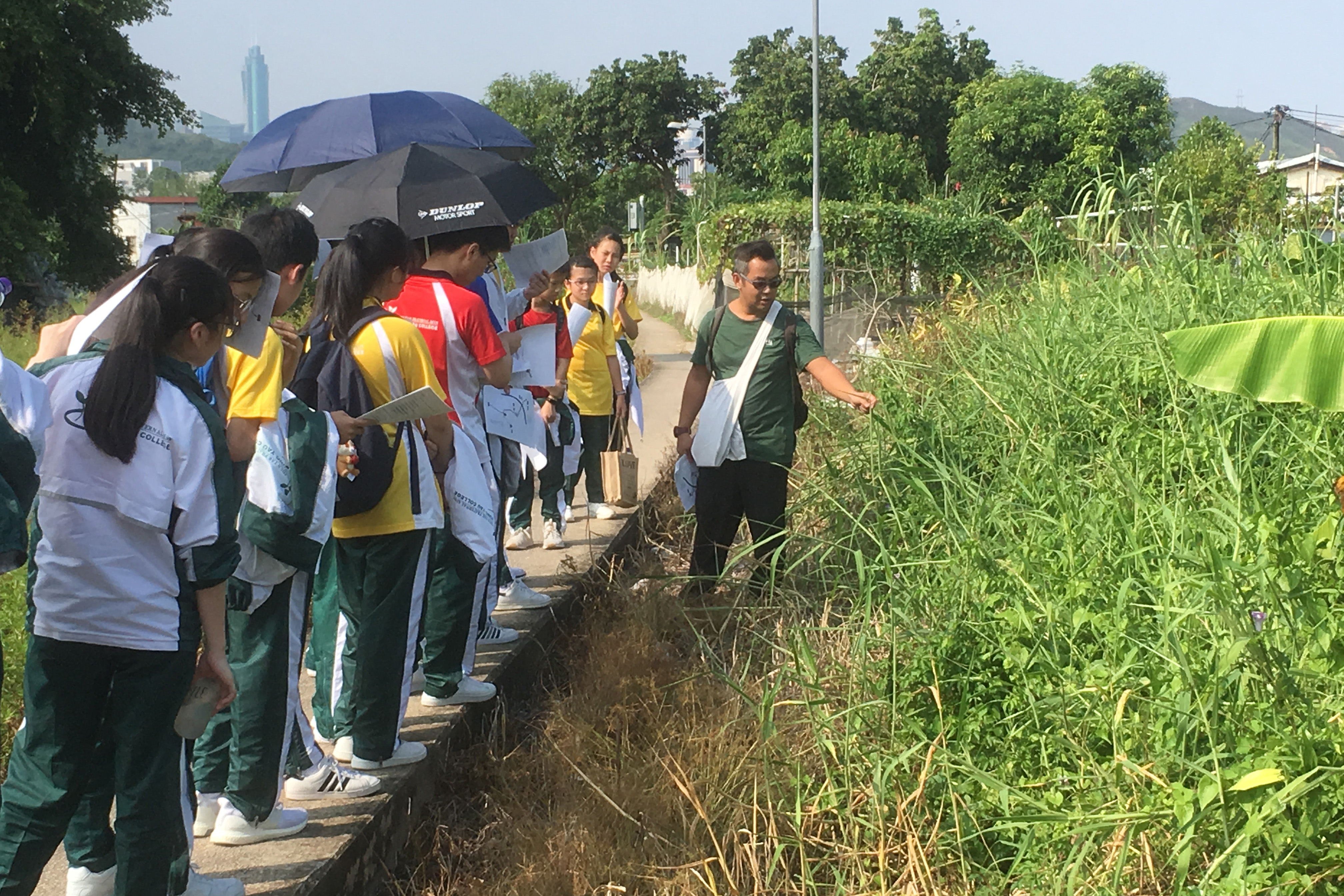 On-site Visit